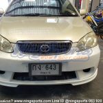 Altis 03 Levin