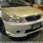 Altis 03 Levin